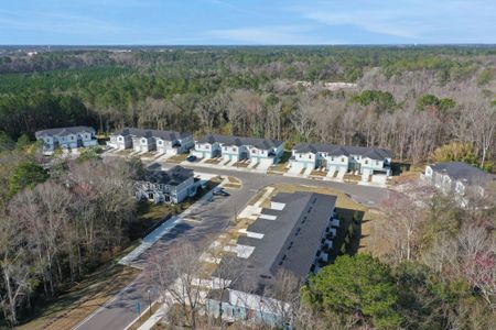 Cedar Creek by Dream Finders Homes in Jacksonville - photo 81 81