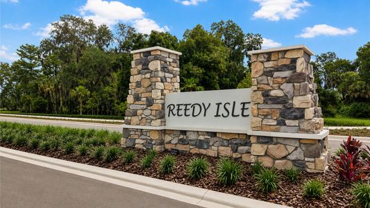 Reedy Isle by Lennar in Davenport - image