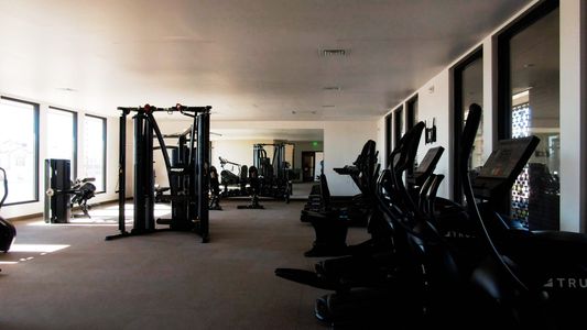 Paseos Del Este by View Homes in Horizon City - image 11