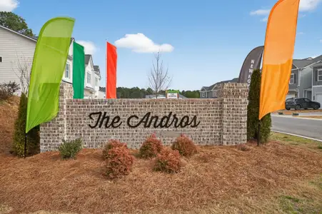 The Andros by Smith Douglas Homes in Dalton - image