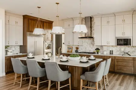 Trillium Reserve at Lake Norman by Keystone Custom Homes in Mooresville - image 4