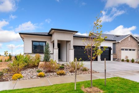 Kitchel Lake by Bridgewater Homes in Timnath - image 16