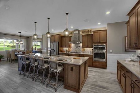 On Top of the World Communities by Colen Built Development, LLC in Ocala - photo 31 31