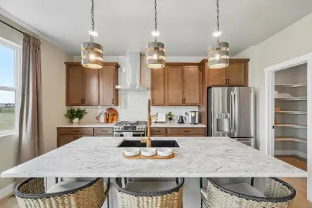 Aspen Meadows by View Homes in Colorado Springs - image 19