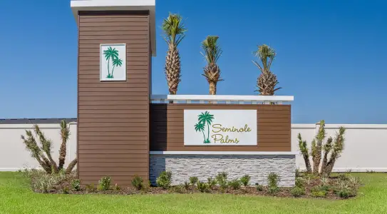Enclave At Seminole Palms by Maronda Homes in Palm Coast - image
