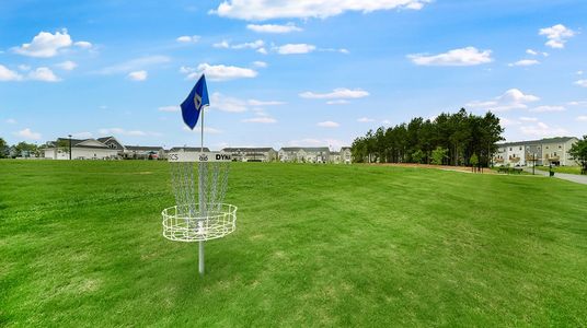 Carolina Springs: Sterling 34