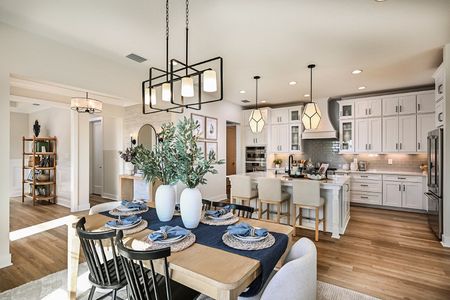 Two Rivers by Homes by WestBay in Zephyrhills - image 7