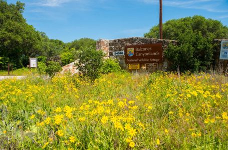 Lakeside at Tessera on Lake Travis: 40ft. lots by Highland Homes in Lago Vista - photo 5 5