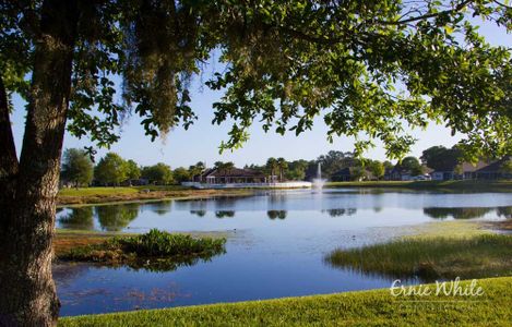 Lake James by Ernie White Construction in Lakeland - photo 9 9