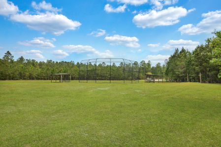 New Haven At Belmont Glen by Ernest Homes in Guyton - image 16