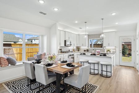 Bel Air Village by Brightland Homes in Sherman - photo 35 35