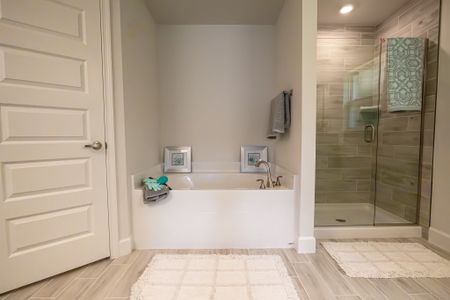 North Port by Adams Homes in North Port - image 12