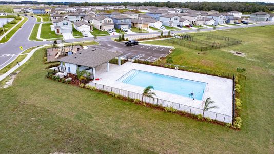 Hidden Creek by Starlight Homes in Zephyrhills - photo 3 3