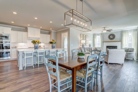 The Springs of Chateau by Walker Anderson Homes in Hoschton - photo 14 14