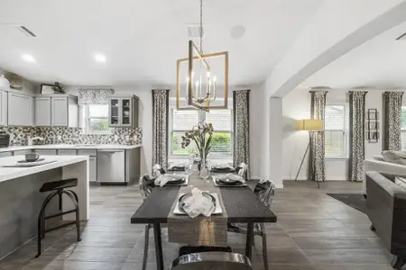 Rodeo Palms by Saratoga Homes in Manvel - image