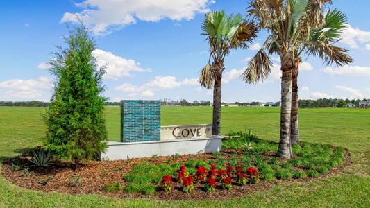 Cove at Coasterra by Taylor Morrison in Palmetto - image