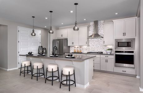 Tirreno at IronWing by Beazer Homes in Litchfield Park - photo 23 23