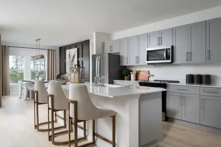 Pasadena Ridge by Casa Fresca Homes in Zephyrhills - image 5