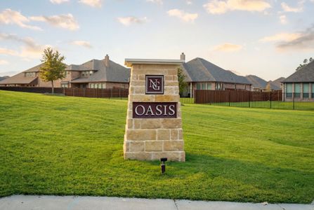 The Oasis by John Houston Homes in Waxahachie - image