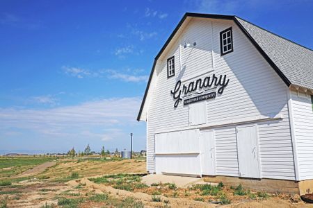 Granary Trailblazer Collection - Single Family Homes by Hartford Homes in Johnstown - photo 3 3