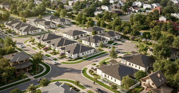 Palm Villas by Bluenest Development in Leisure City - image