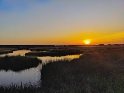 Cordgrass Landing by Mungo Homes in Johns Island - photo 12 12