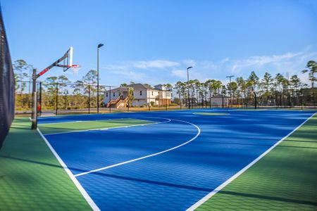 Starburst at Hammock Bay by DSLD Homes in Freeport - image 14