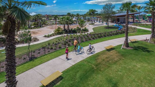 Waterset Cottage Series by David Weekley Homes in Apollo Beach - photo 65 65