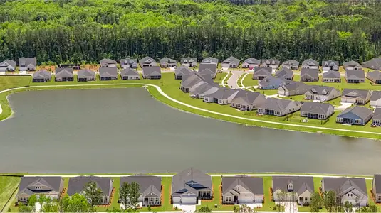 Heron's Walk at Summers Corner: Row - Elevated Collection by Lennar in Ridgeville - image