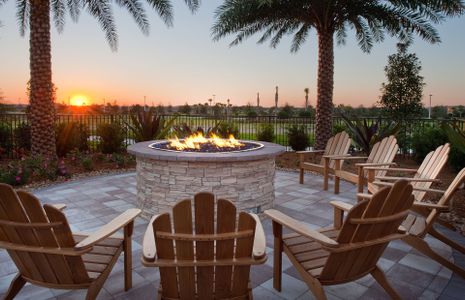 Del Webb Naples by Del Webb in Ave Maria - image 4