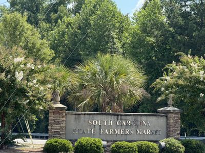 Timberlake Plantation by Veranda Homes in Chapin - image