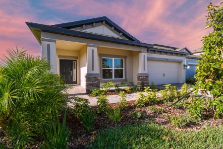 K-Bar Ranch Gilded Woods by M/I Homes in Tampa - photo 25 25