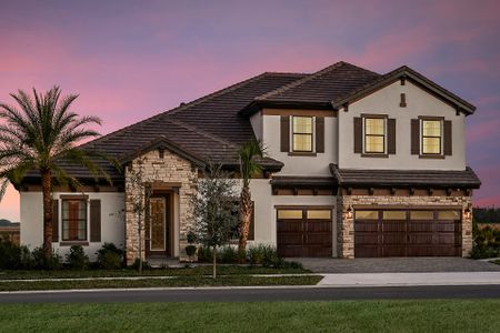 Barrington Preserve by Homes by WestBay in Valrico - photo 0