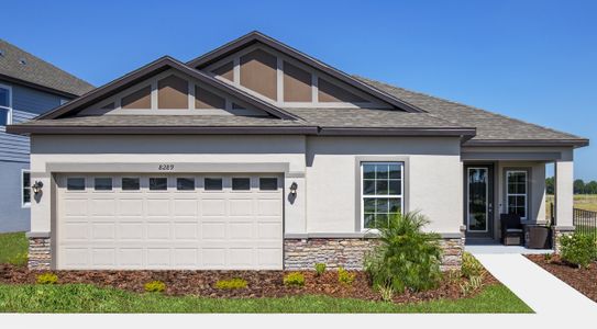 Royal Highlands by Maronda Homes in Brooksville - photo 7 7