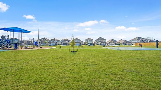 Dauer Ranch by Legend Homes in New Braunfels - photo 3 3