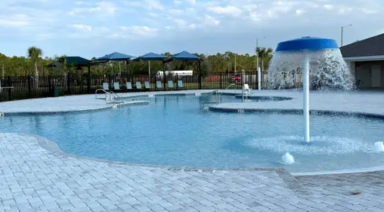 Lake Deer Estates by Maronda Homes in Haines City - image