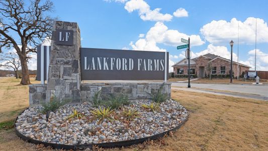 Lankford Farms by D.R. Horton in Cleburne - photo 23 23