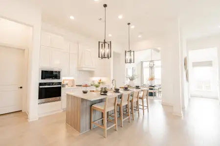 Panchasarp Farms by John Houston Homes in Burleson - image 7