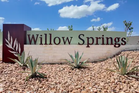Willow Springs by M/I Homes in Creedmoor - image
