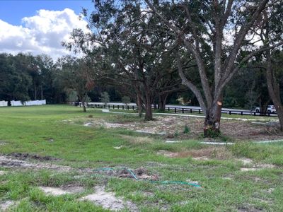 Wolf Lake Ranch by M/I Homes in Apopka - photo 26 26