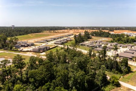 The Pines at Seven Coves by CastleRock Communities in Willis - image