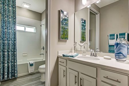 Sandy Creek by SEDA New Homes in Saint Augustine - photo 66 66