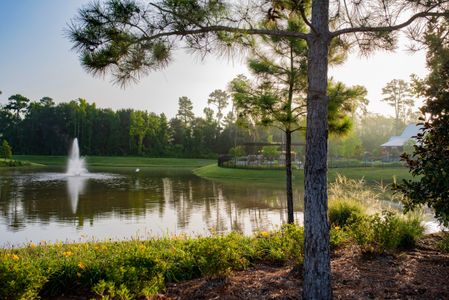 NorthGrove by Westin Homes in Magnolia - photo 14 14