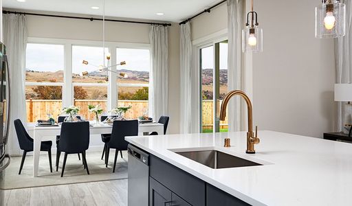 Oak Ridge at Crystal Valley by Richmond American Homes in Castle Rock - photo 61 61