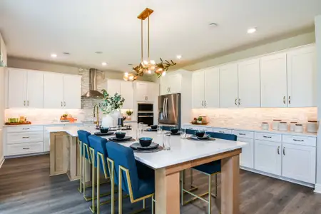 Vintner Reserve by Beazer Homes in Clermont - image 5