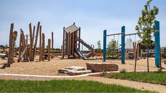 Prairie Song: The Petal Collection by Lennar in Windsor - image 6