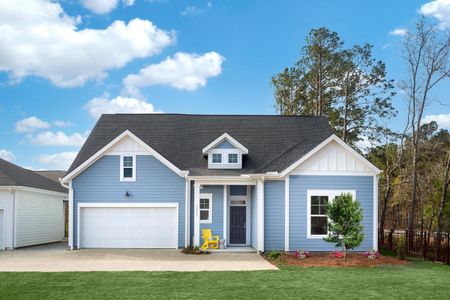 Encore - Restore at Carolina Park - Garden Series by David Weekley Homes in Mount Pleasant - photo 25 25