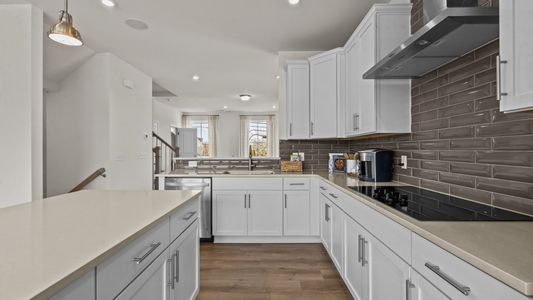 The River District by DRB Homes in Charlotte - photo 5 5