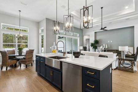 Sandy Bluff by SEDA New Homes in Yulee - image 11