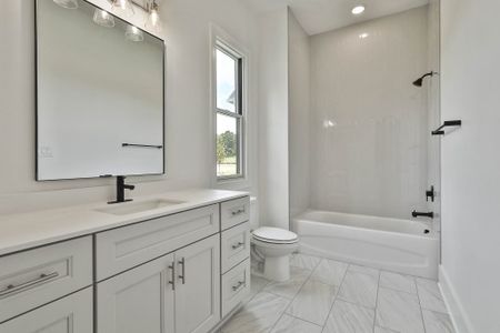 Mill Farms by Jeff Lindsey Communities in Peachtree City - image 8